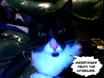 InterWeb.webp