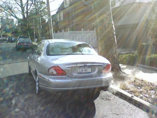 Jaguar-7.webp