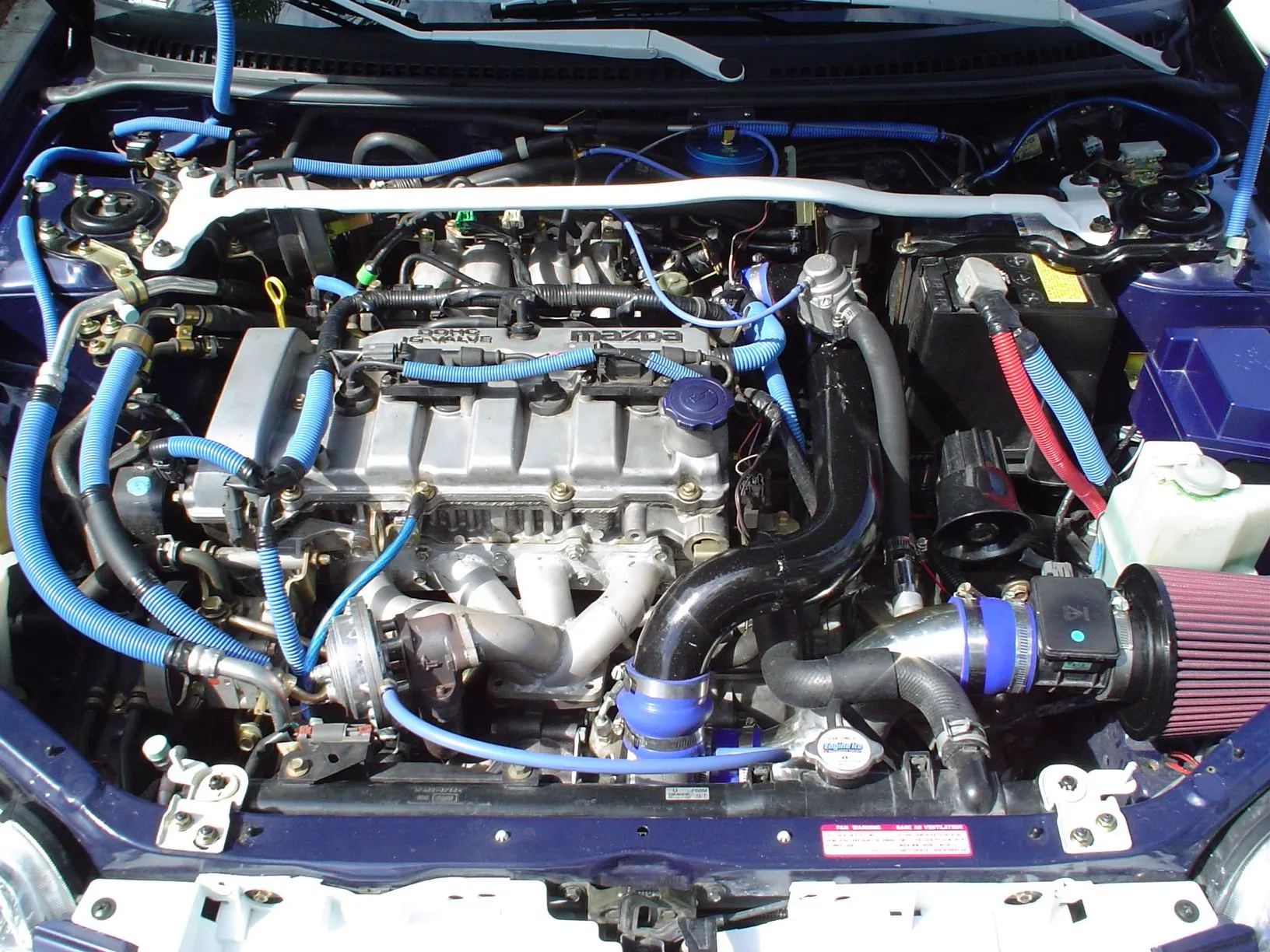 jeffcarpics 005.webp