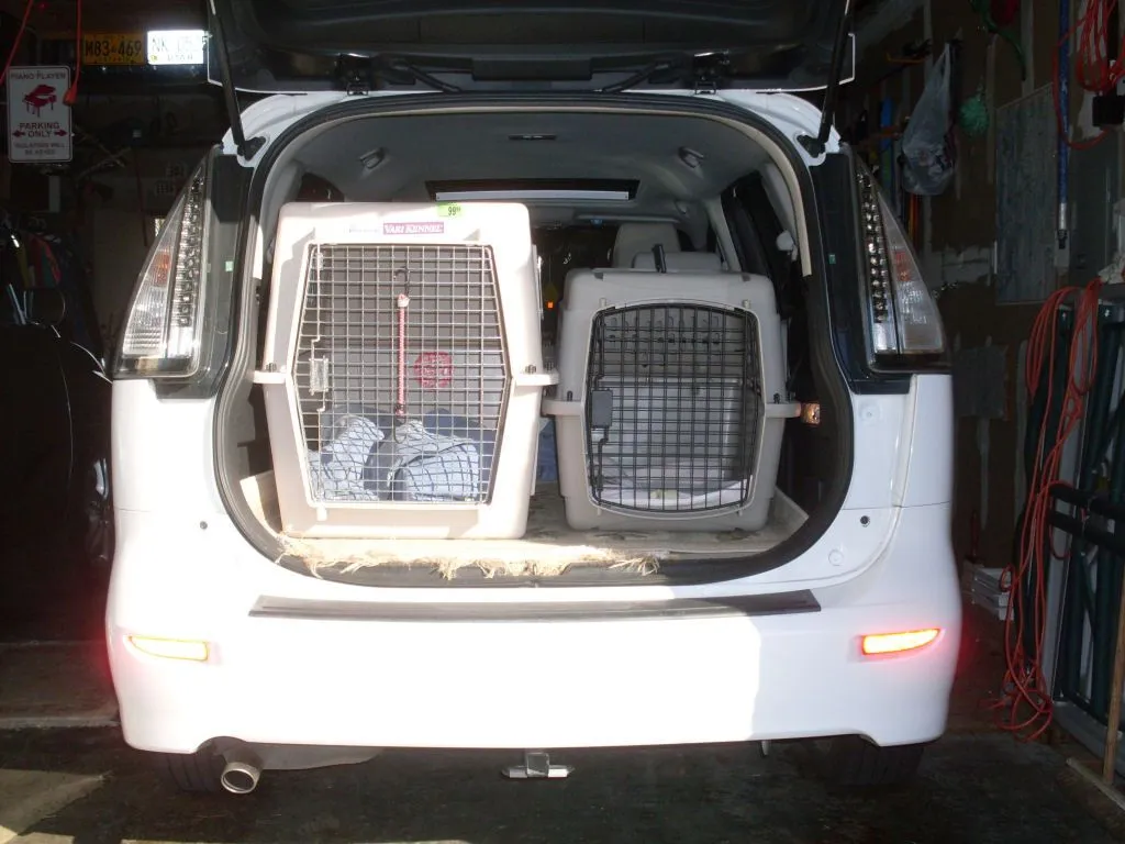 kennels.jpg