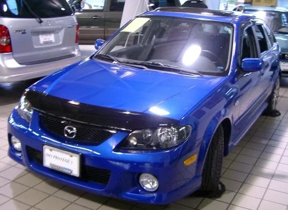 kiwi3.jpg