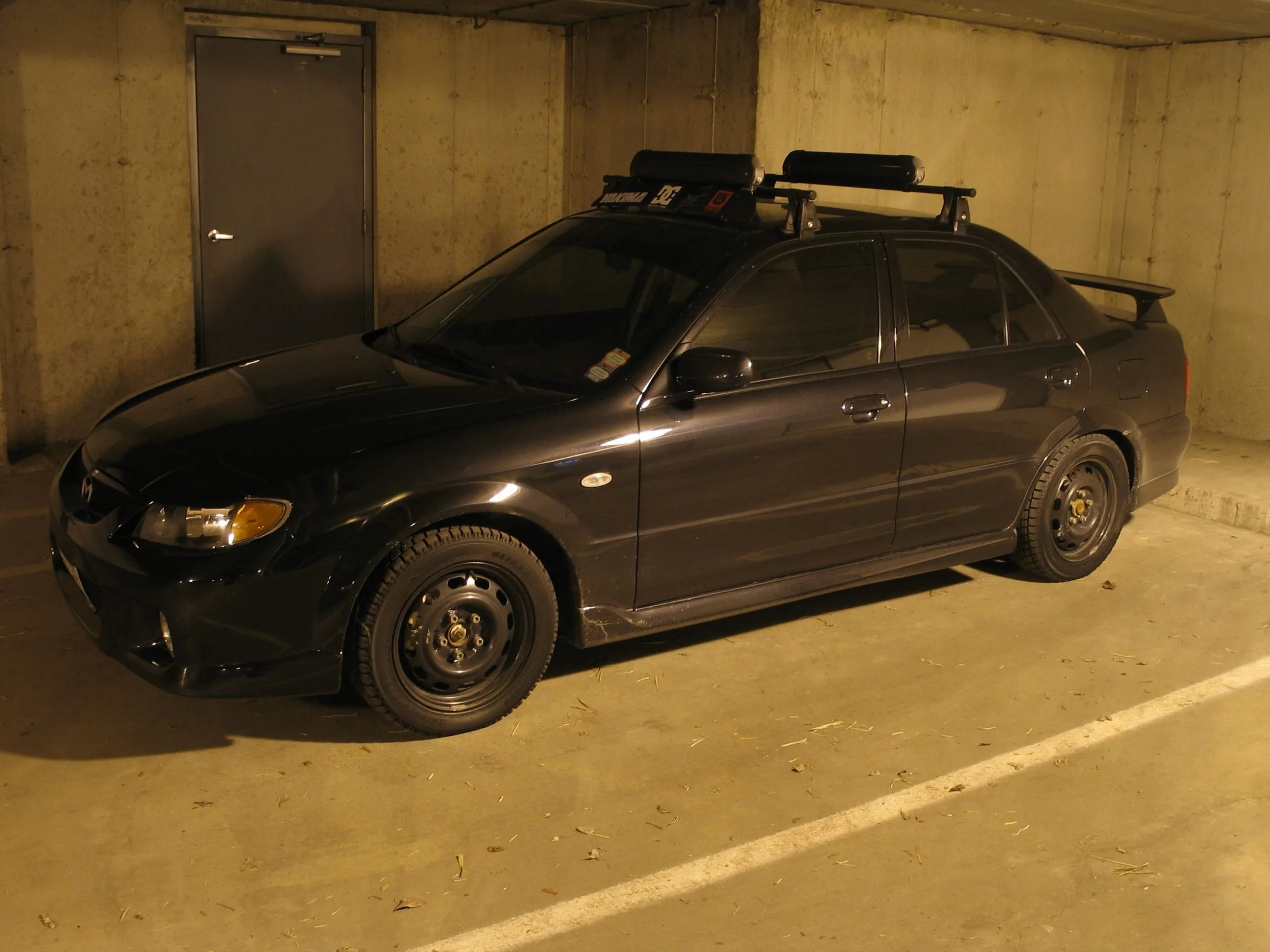 lexi 3-26-06 024.webp