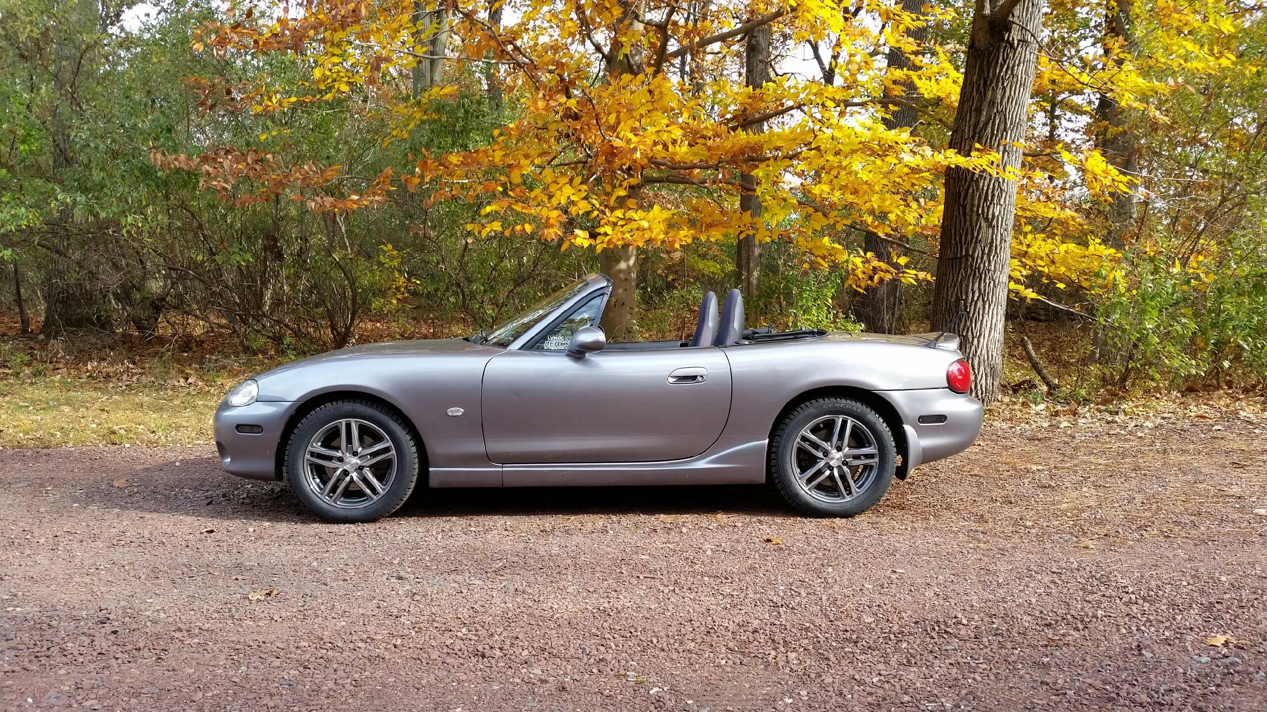 Lexi - Let It Snow.jpeg