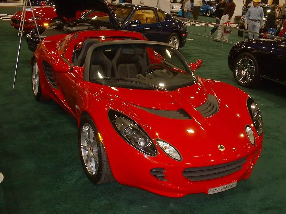 lotus.webp
