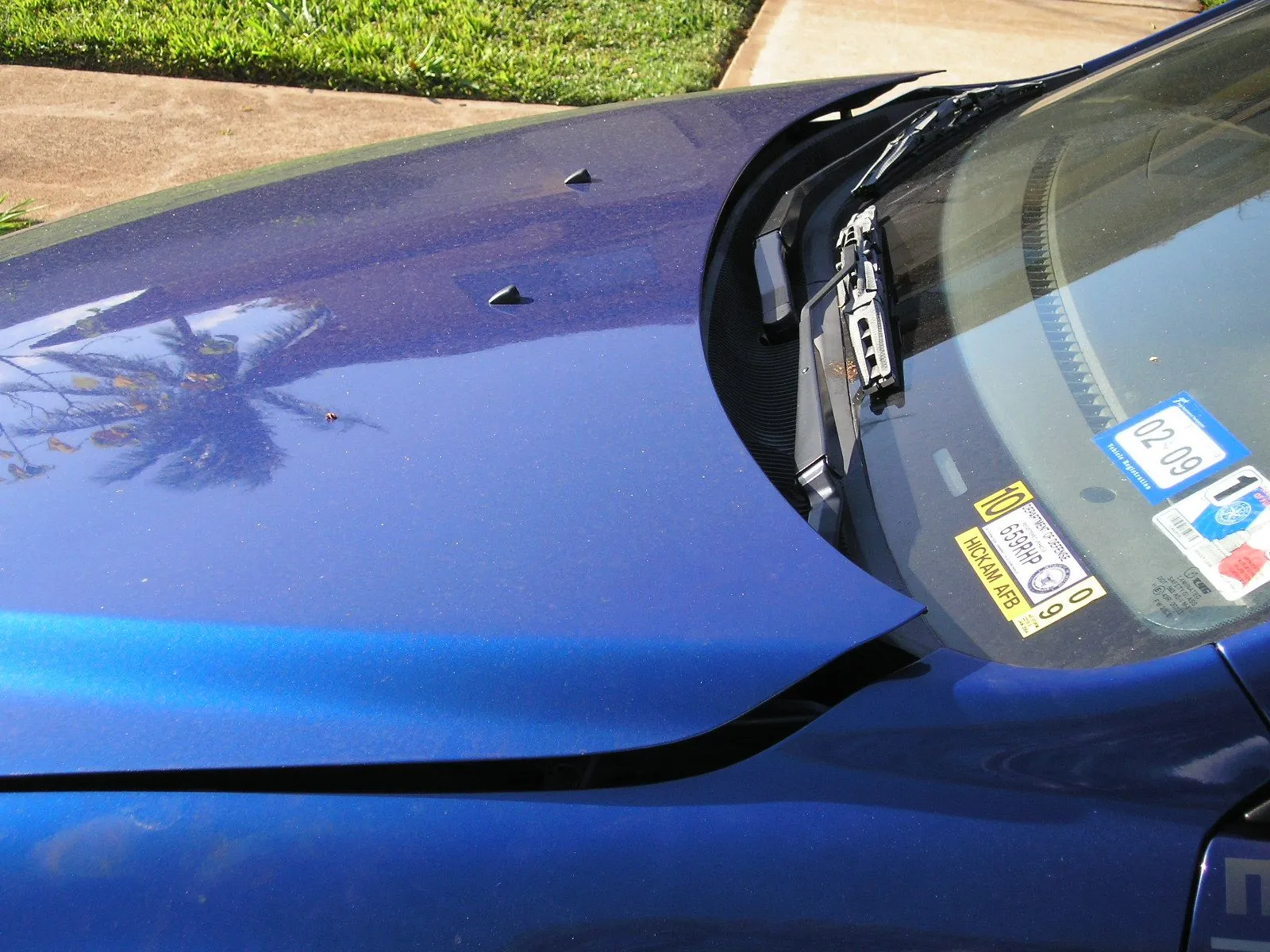 lowered 017.JPG