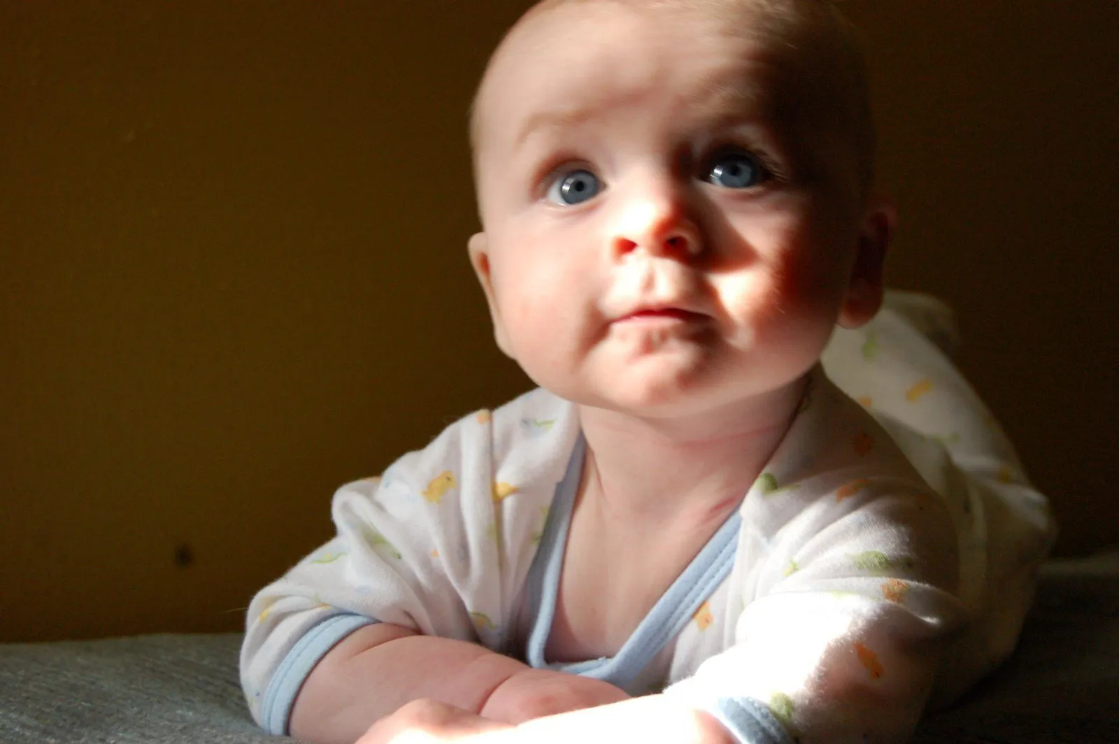 luke_080929_174.webp