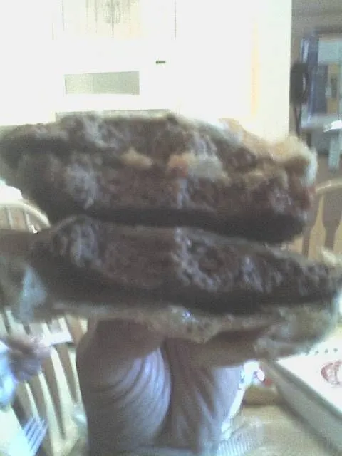 Lunch.webp