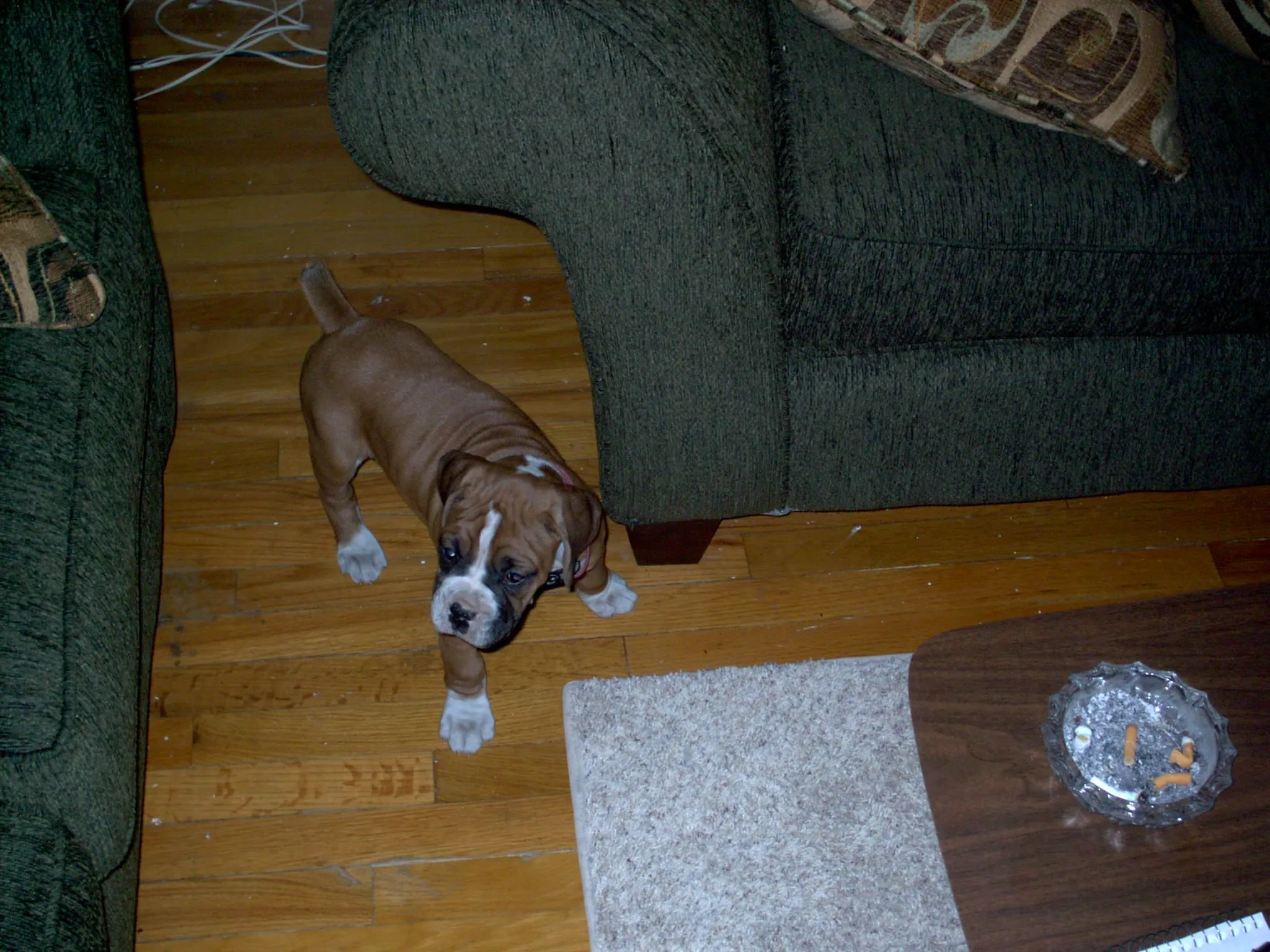 max1stday.webp