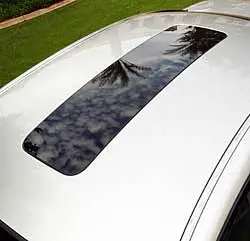 maxima2.jpg