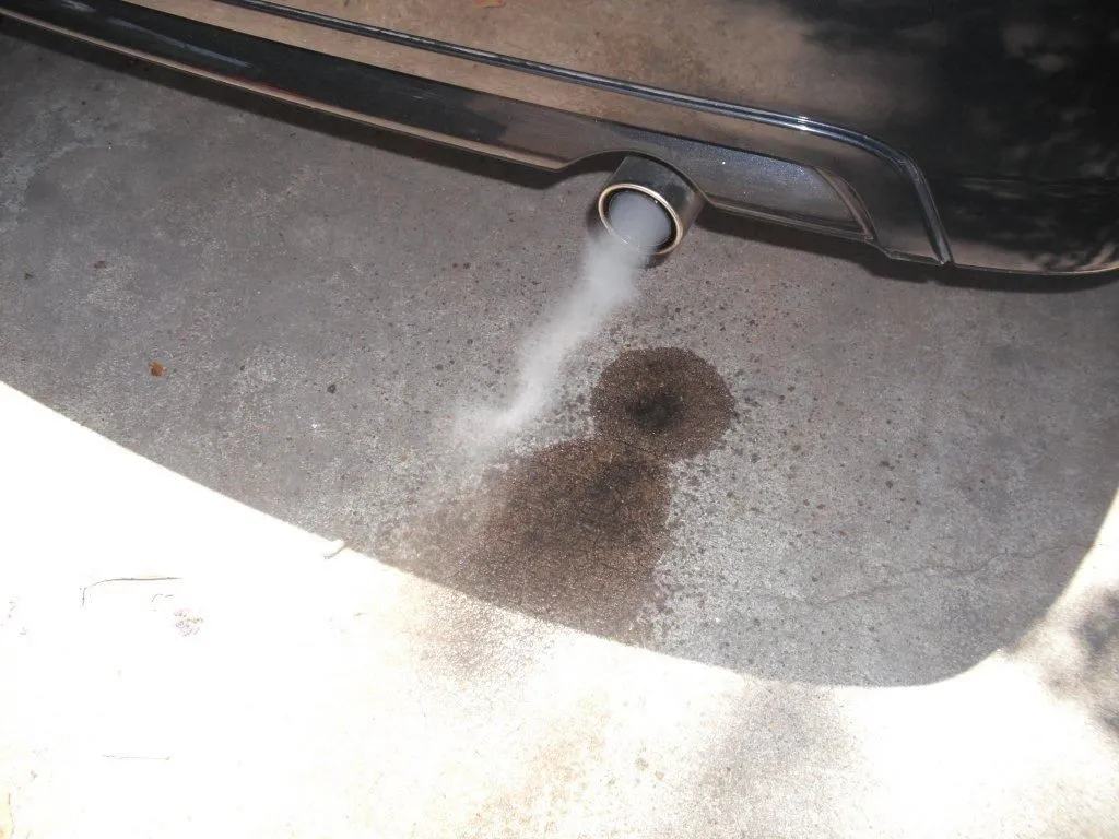 mazda 001.jpg