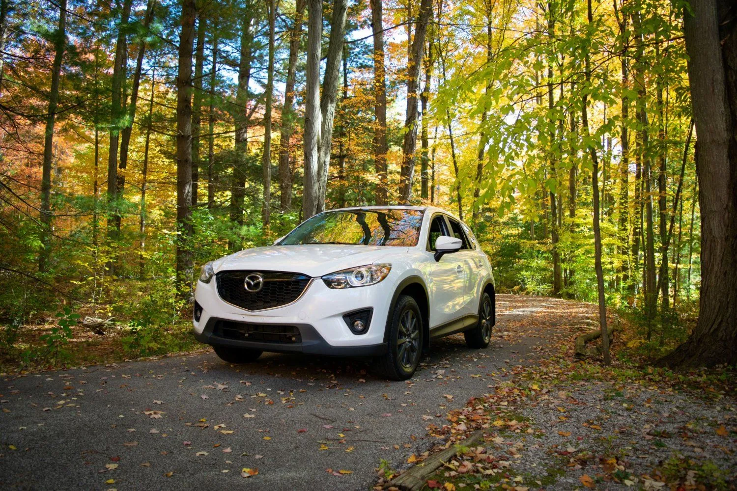 mazda fall leaves resize.webp
