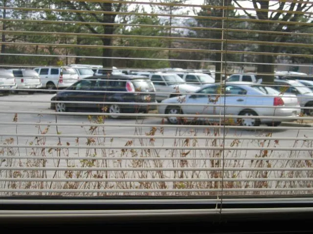 mazda5_office_parking_feb_2008.jpg 002.jpg