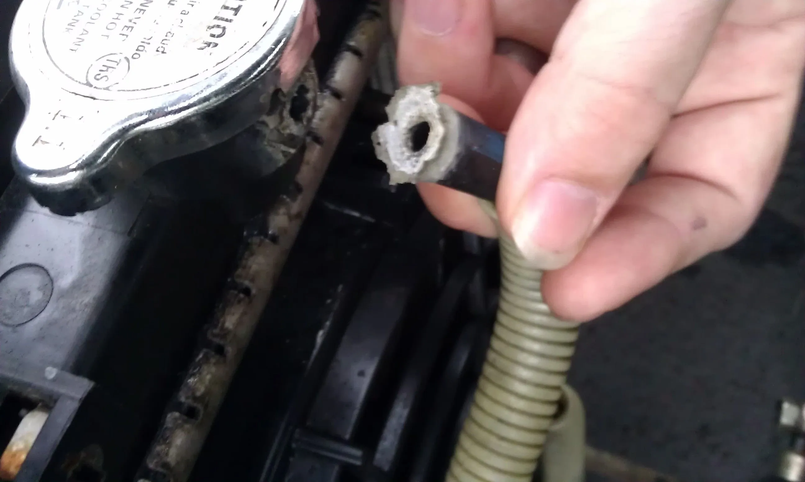 Mazda_brokehose1.jpg