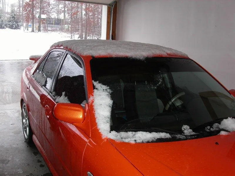 mini-Snowy MSP 2-2-07.JPG