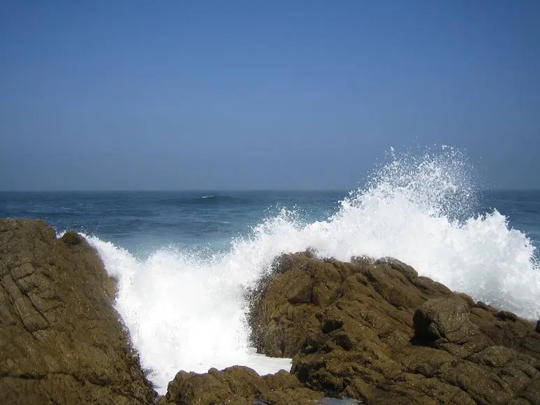 Monterey 20.webp