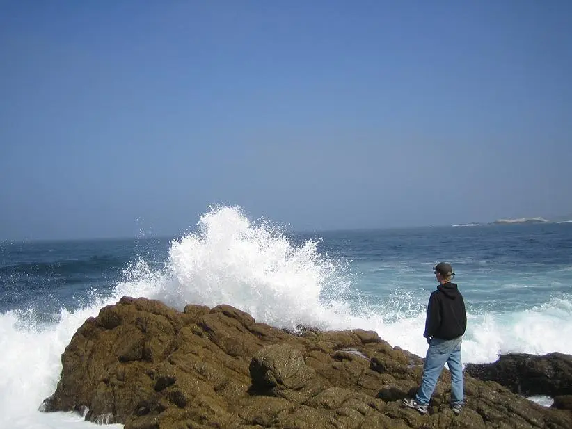 Monterey 23.webp