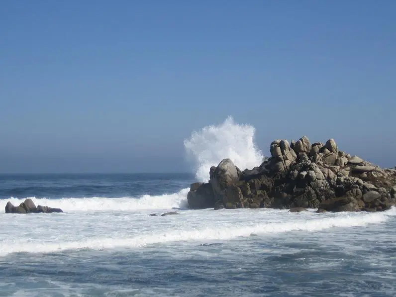 Monterey 8.webp