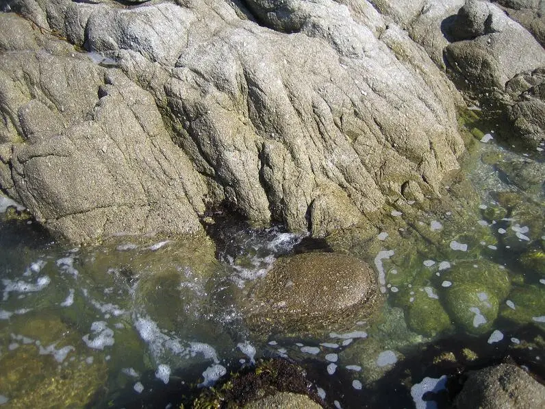 Monterey 9.webp