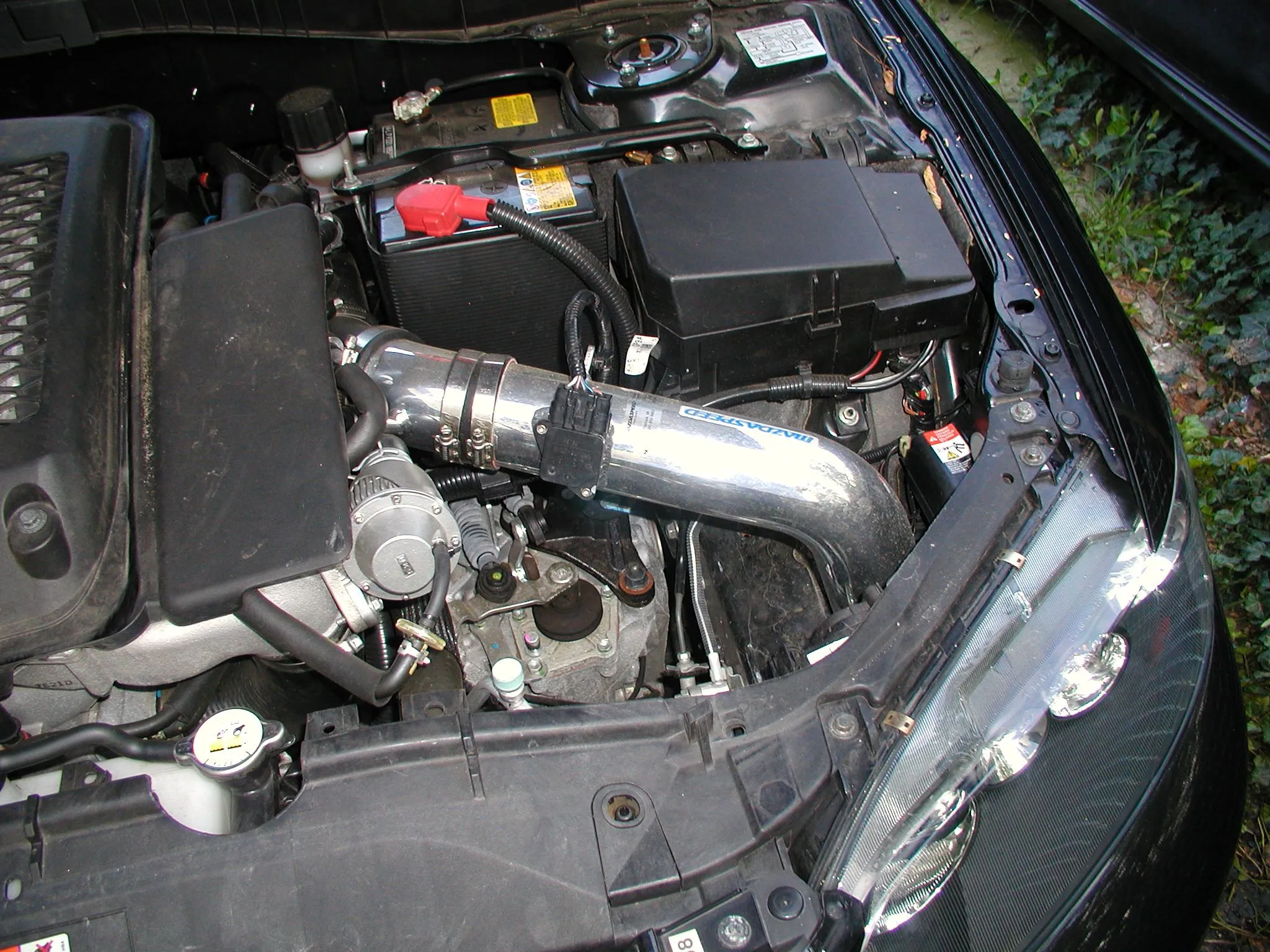 MS CAI with HKS BOV.JPG