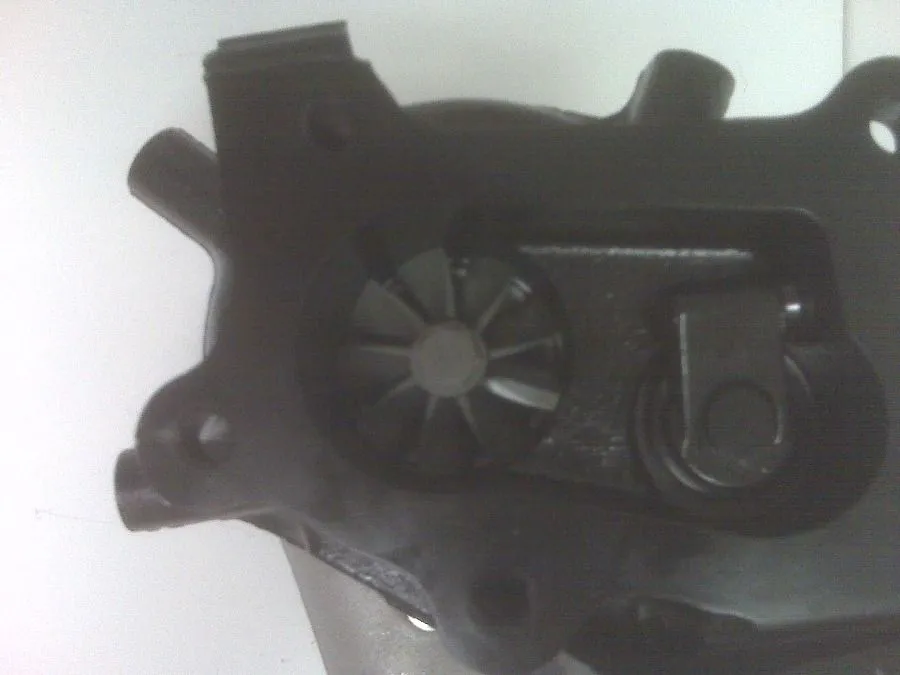 MS367pic2.jpg