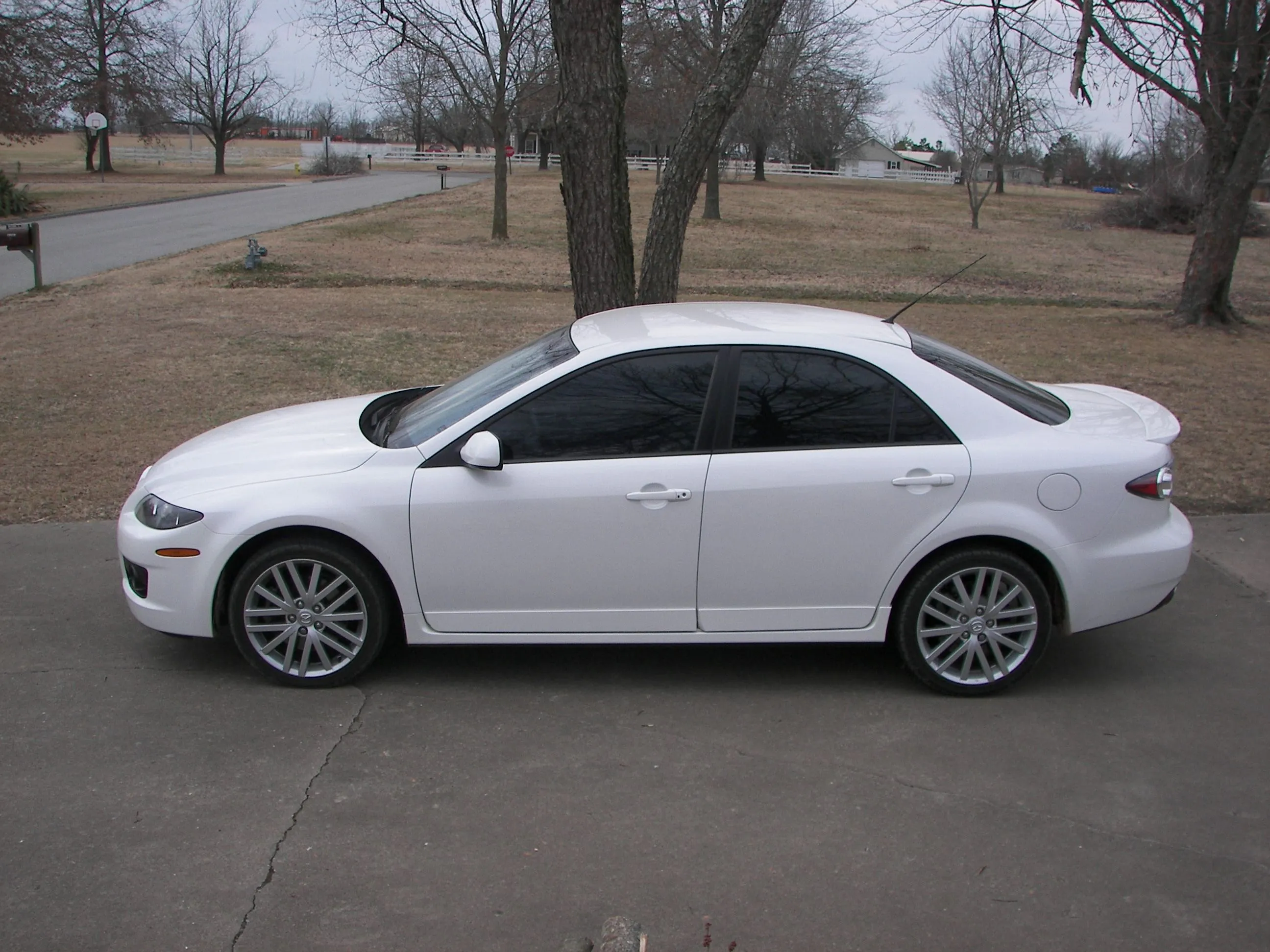 ms6 008.jpg