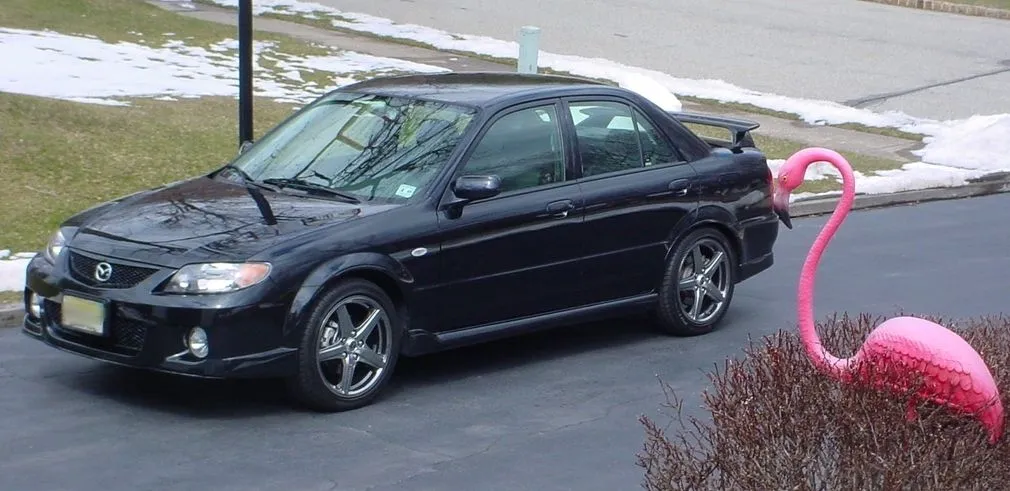 MSP black 035.JPG