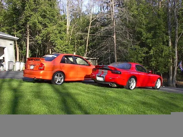 msp-fd2.jpg