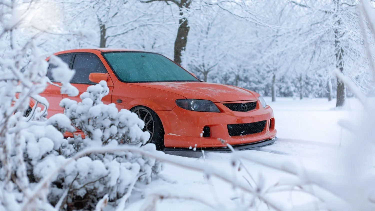 MSP snow day 2020-2.webp