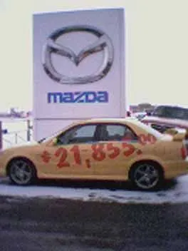 msp.webp