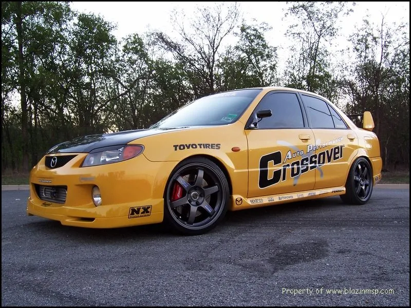 msp_4616.jpg