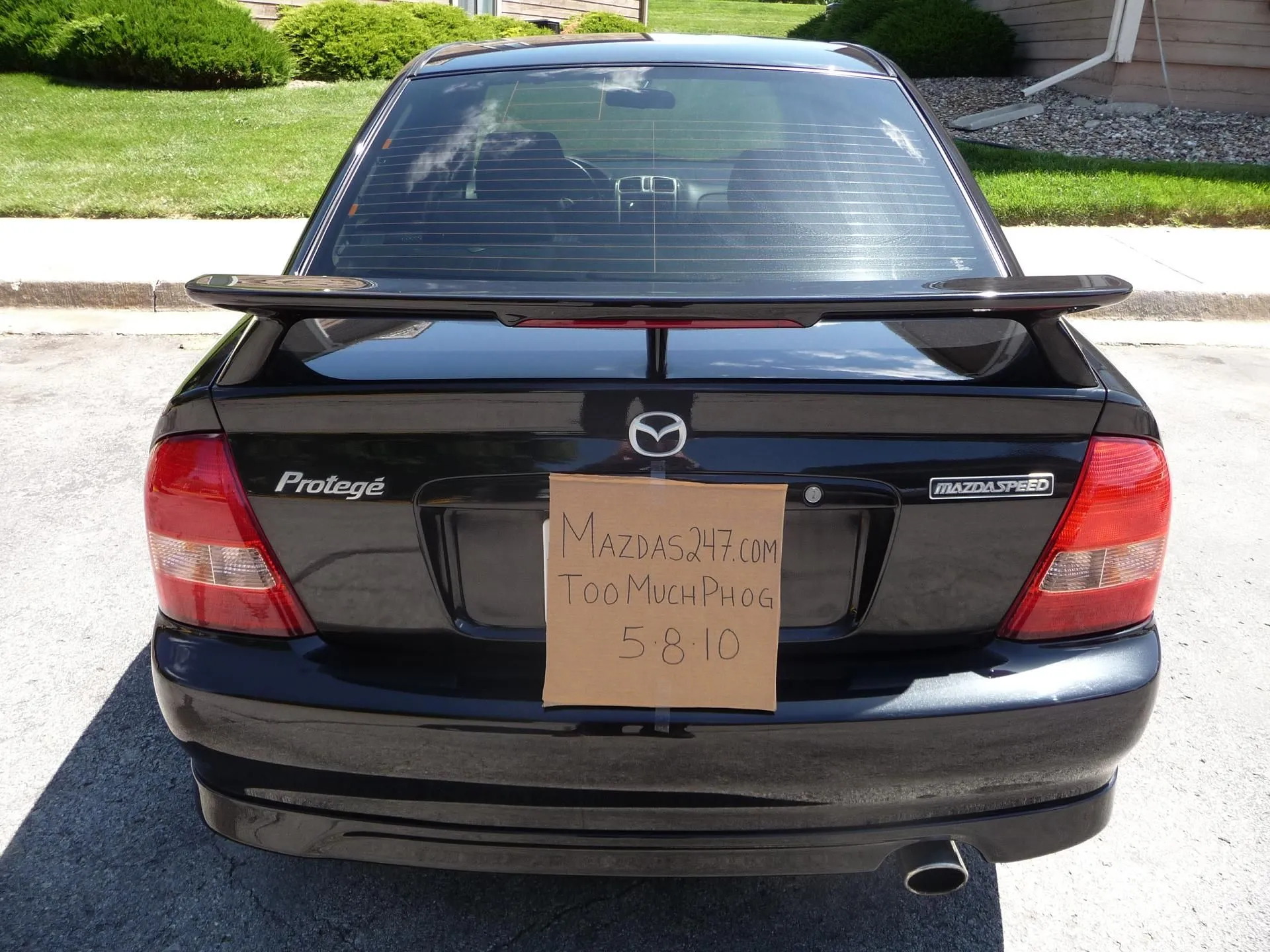 MSProtege Pics 013.webp