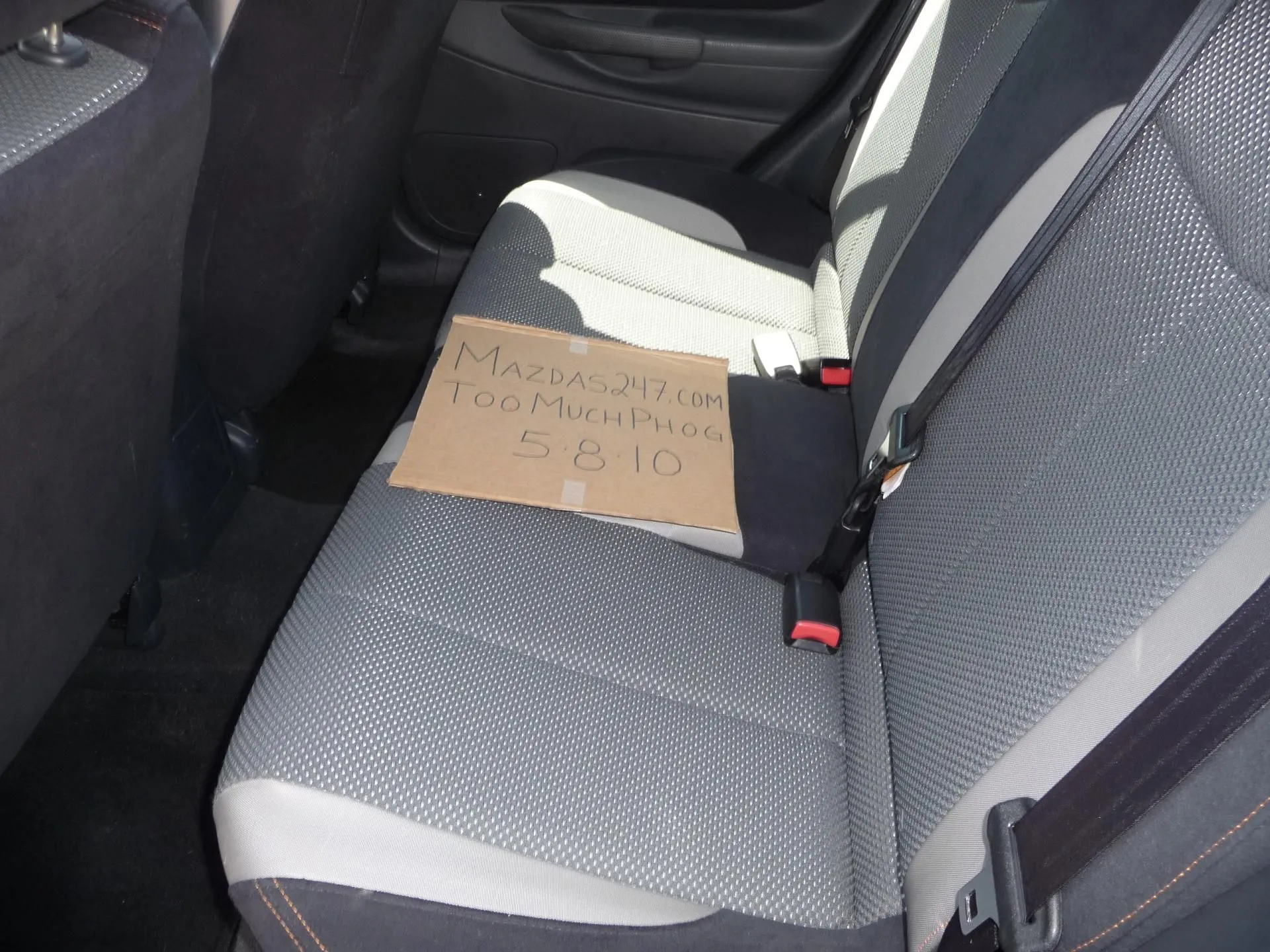 MSProtege Pics 021.webp