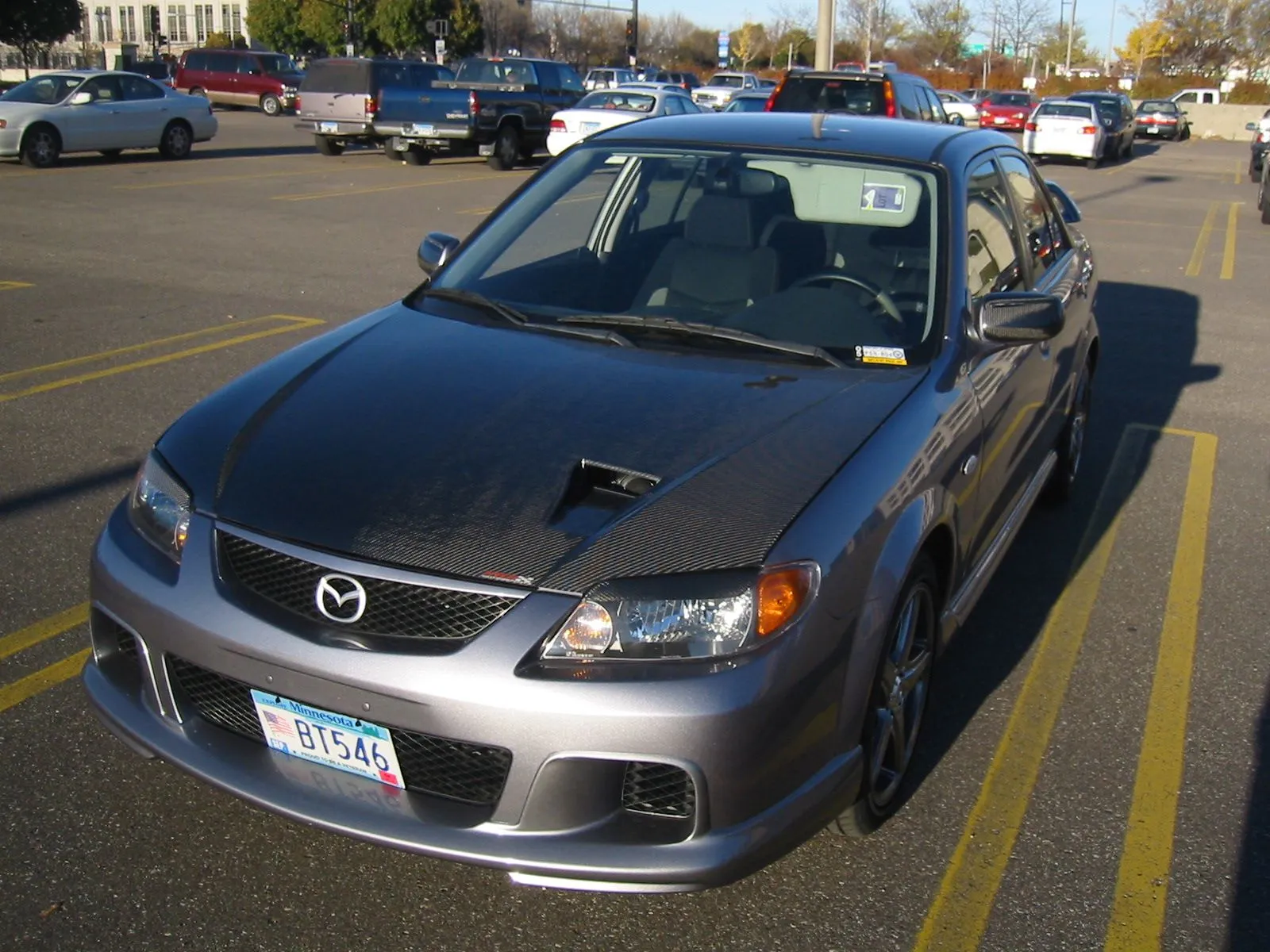 msprotege.webp