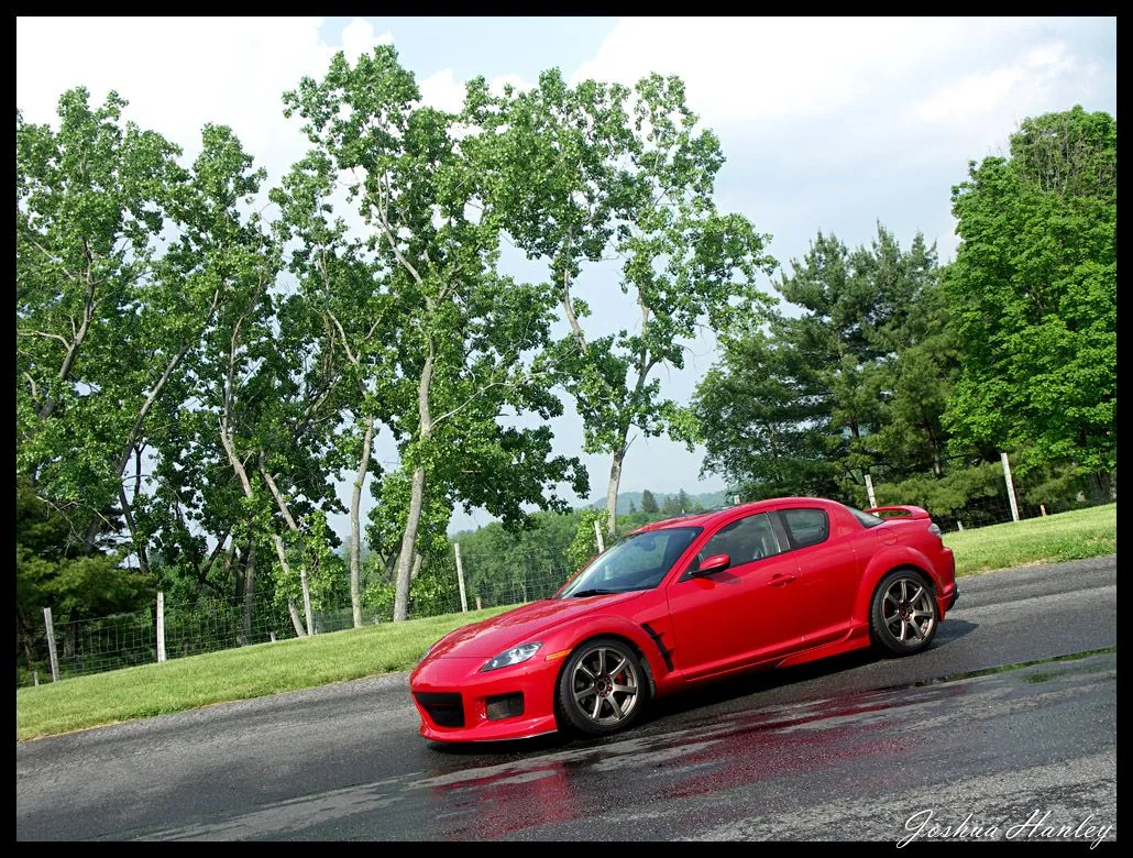 my8_lrp2.webp