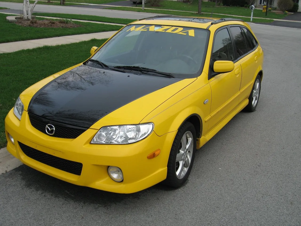 mycarhood.jpg
