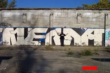 NEMAROLLSMALL.webp