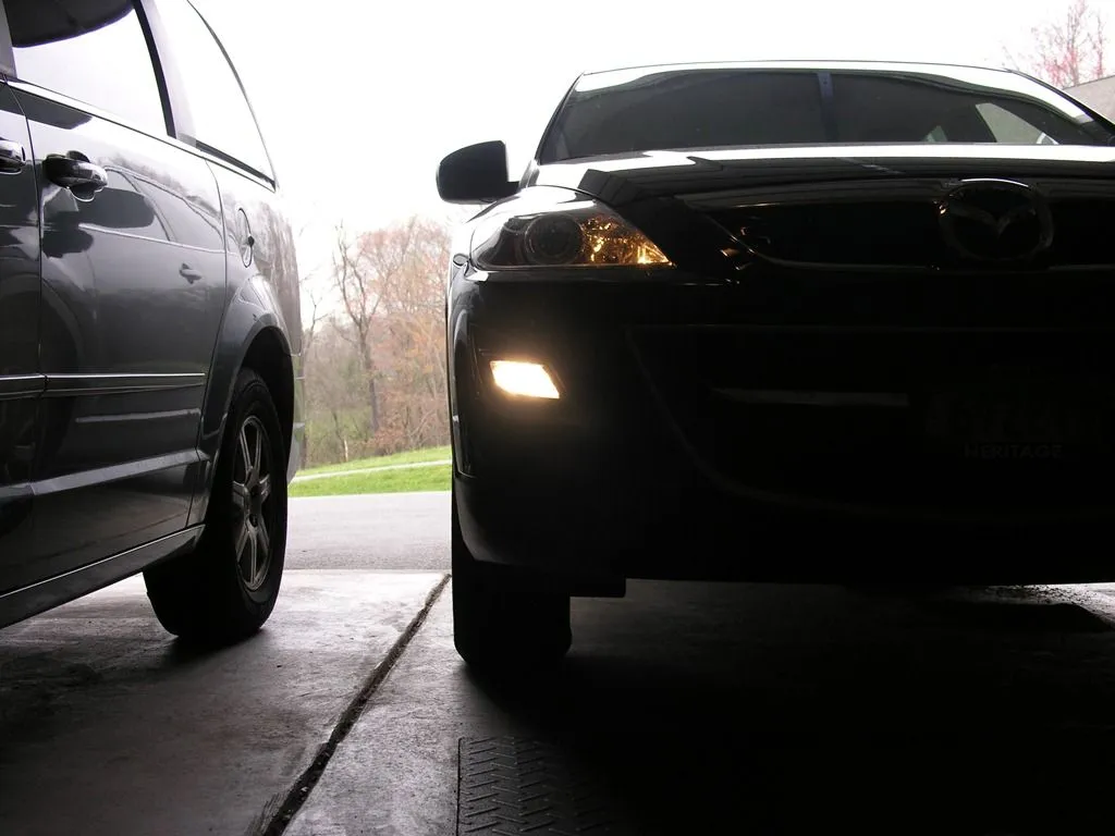 New Fogs Pside.jpg