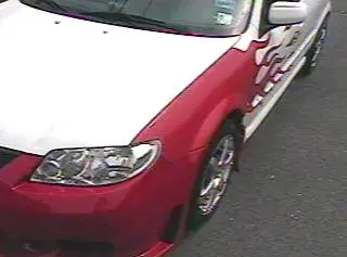 New Vinyl 3.jpg