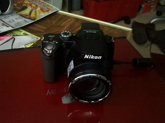 nikon p100.webp