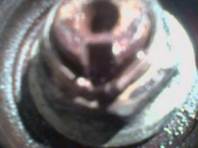 ****** nut.jpg