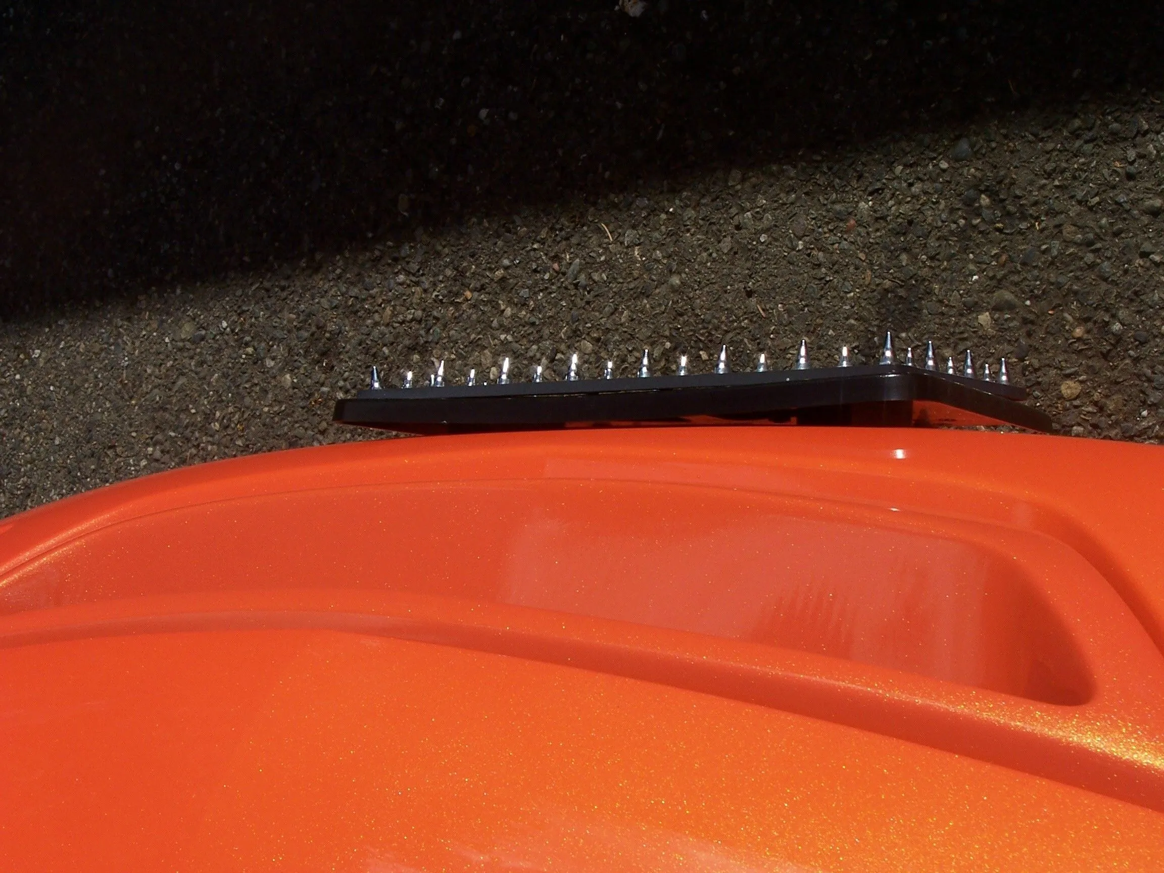 orangecar08.webp