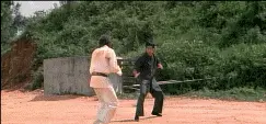 ownedbruceleecrotch.webp