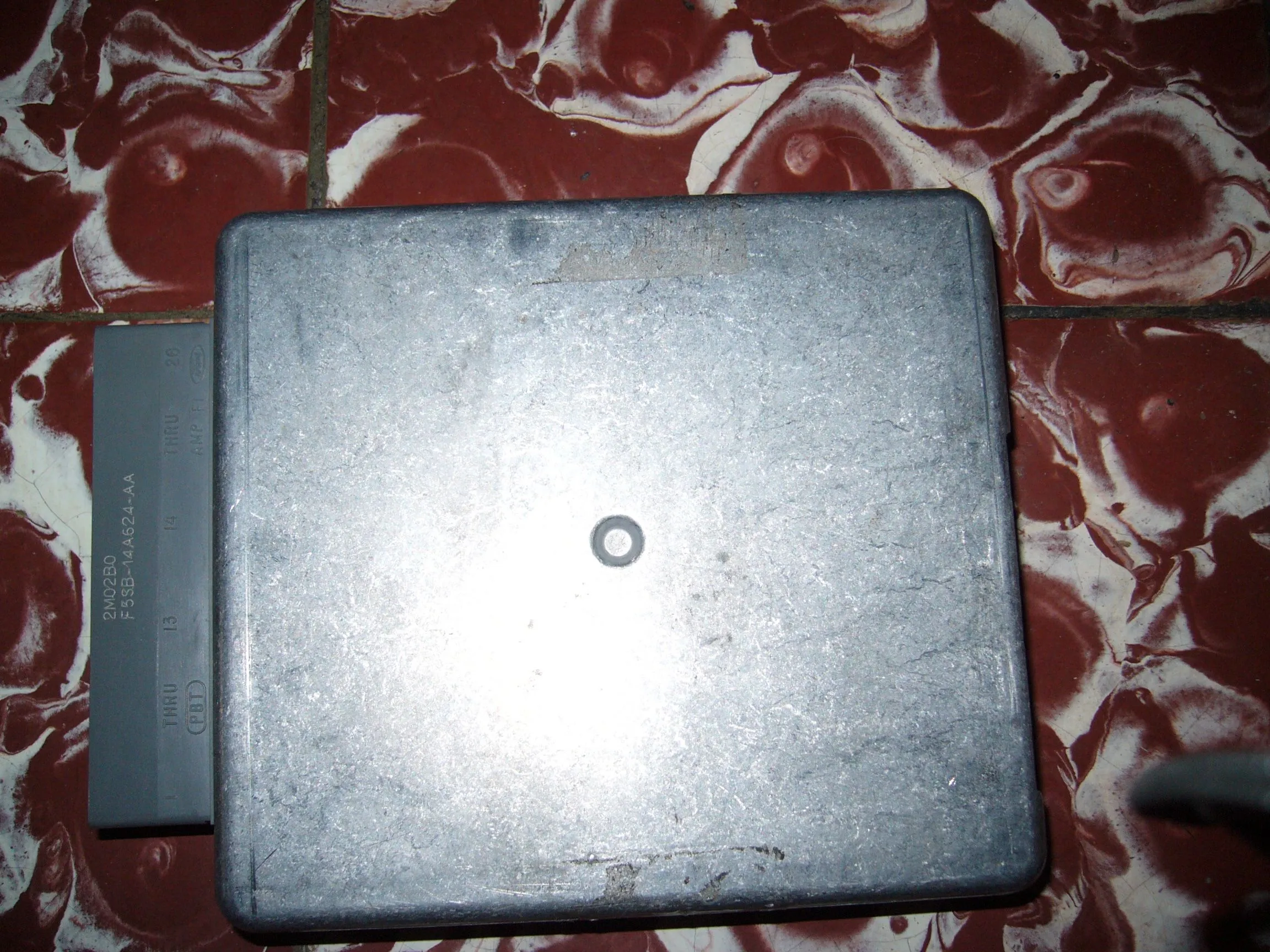 P1000217.JPG