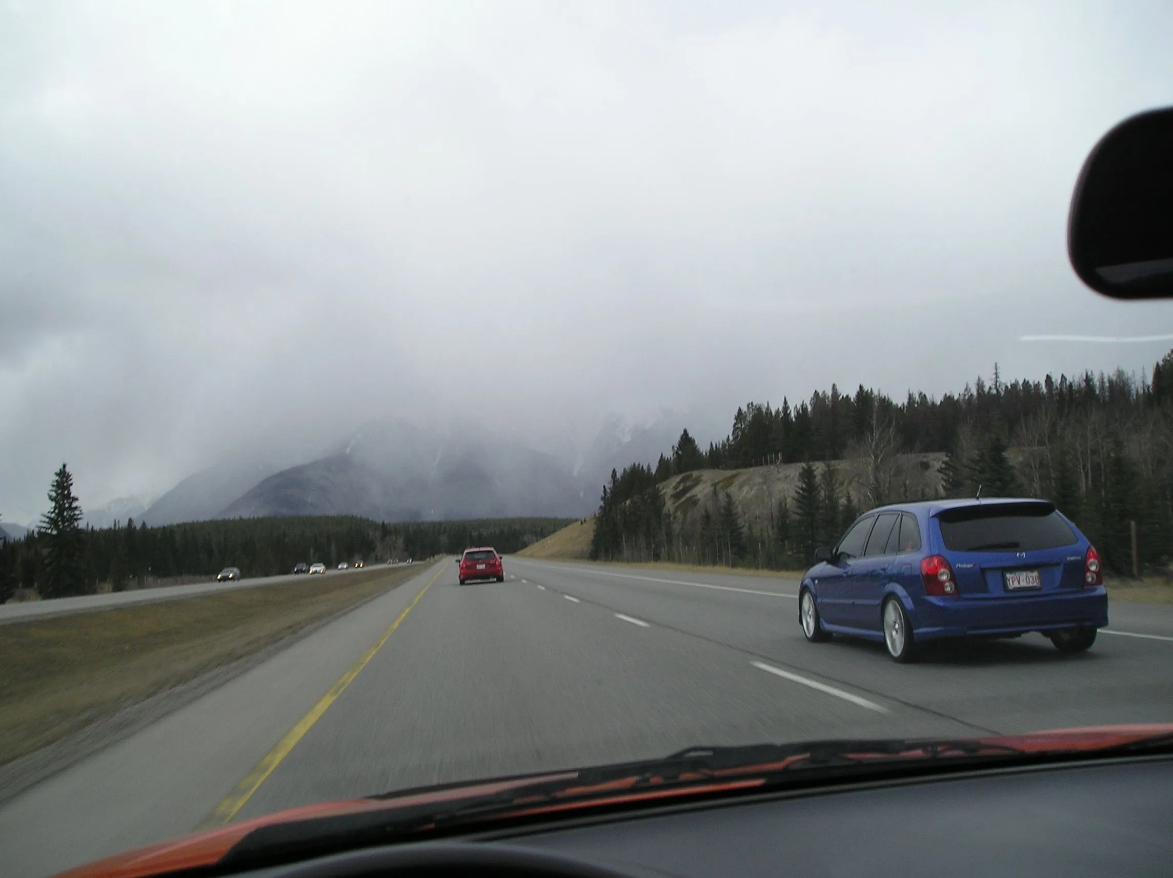 P1010001.webp