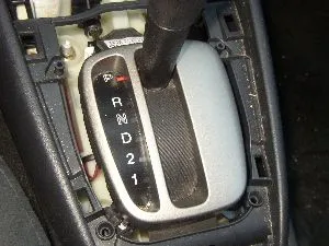 P1010004.JPG