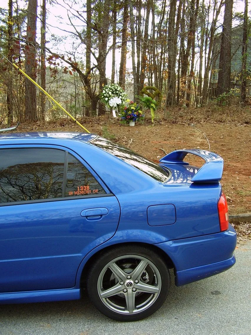 P1010009.webp
