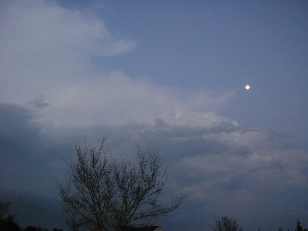 P1010012.webp