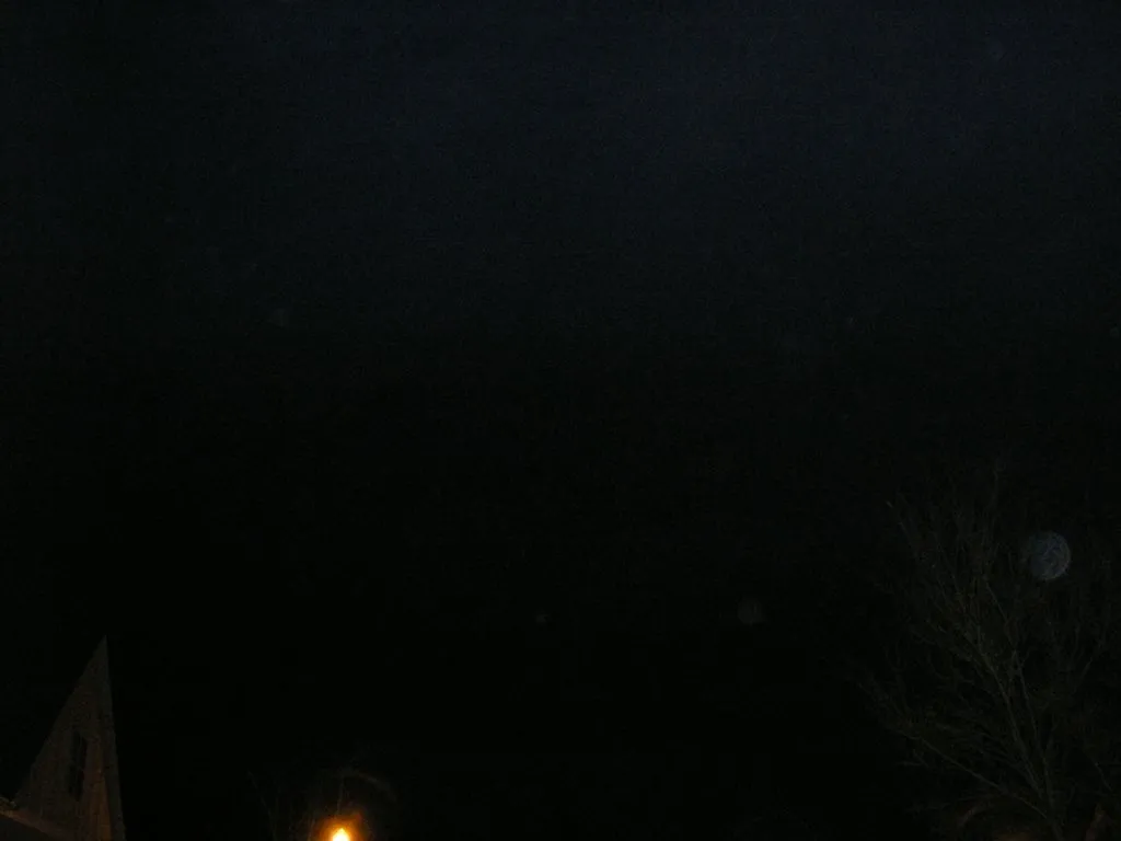 P1010015.webp