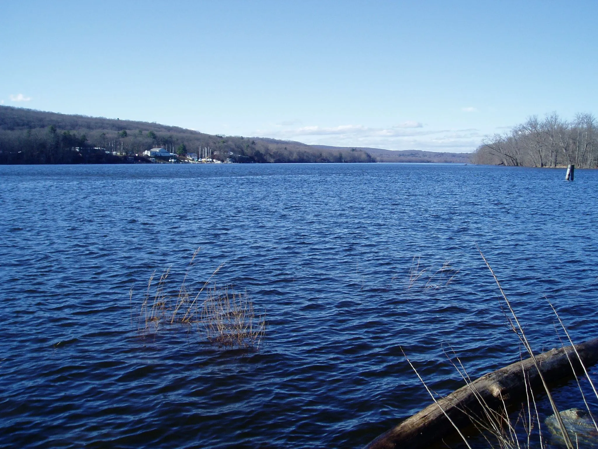P1010038.webp