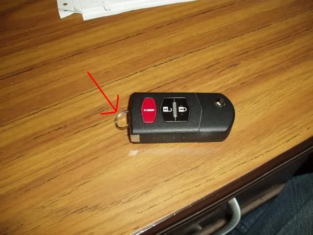 P1010045.JPG